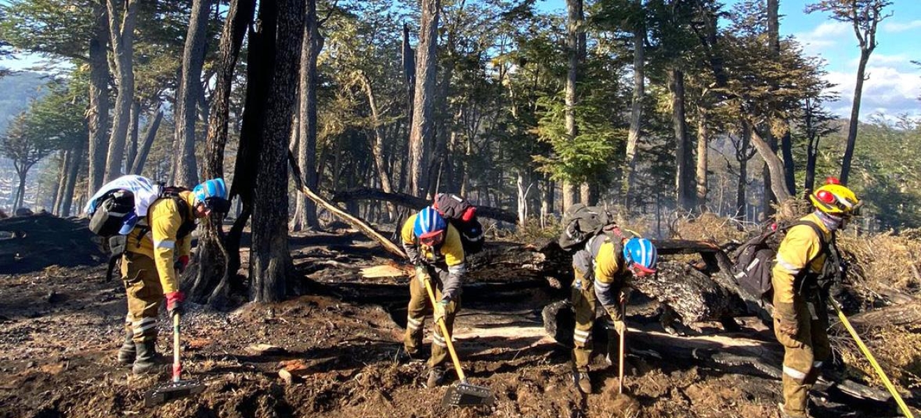A 2 meses de iniciado, aun no logran extinguir un incendio forestal en Tierra del Fuego